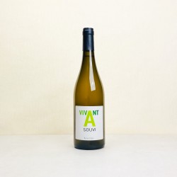 Domaine du Petit Oratoire - Vivant A Souvi